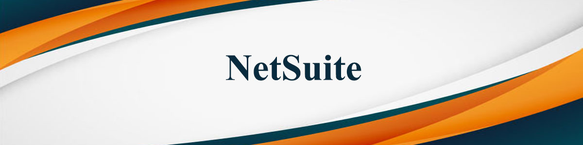 (NetSuite) مدیریت بومی کاربران اینترنت